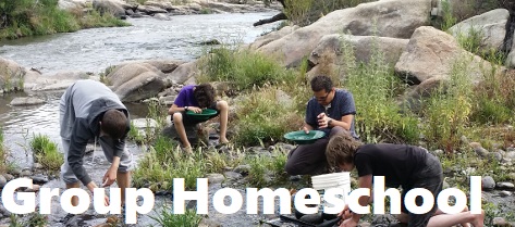 Group Homeschool